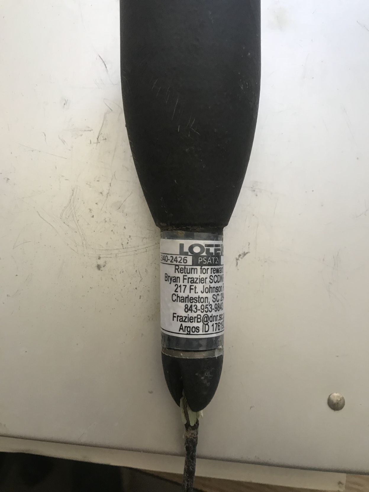 Satellite tracking tag